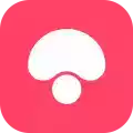 蘑菇街最新版app