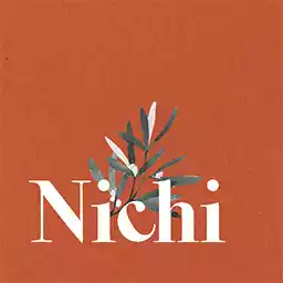 Nichi日常特效软件