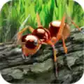 蚂蚁模拟器2D