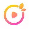 桔子视频app