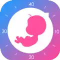 孕妈网孕育app