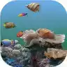 3d海底世界动态壁纸免费