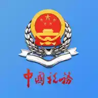 新疆电子税务局app