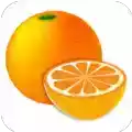 柑橘阅读破解版app
