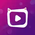 夜猫直播视频app
